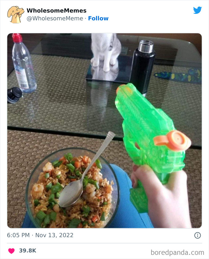 Wholesome-Memes-Pics