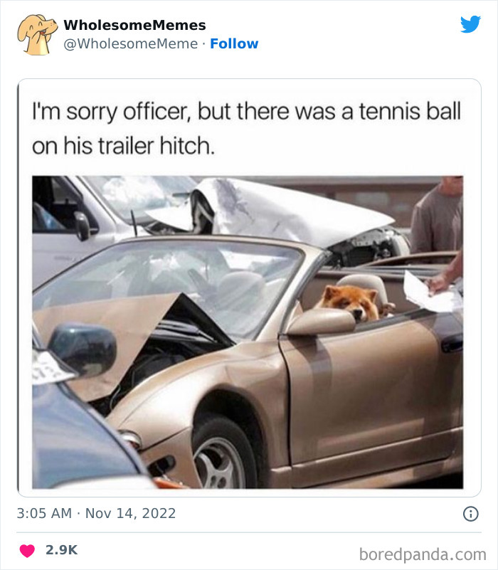 Wholesome-Memes-Pics