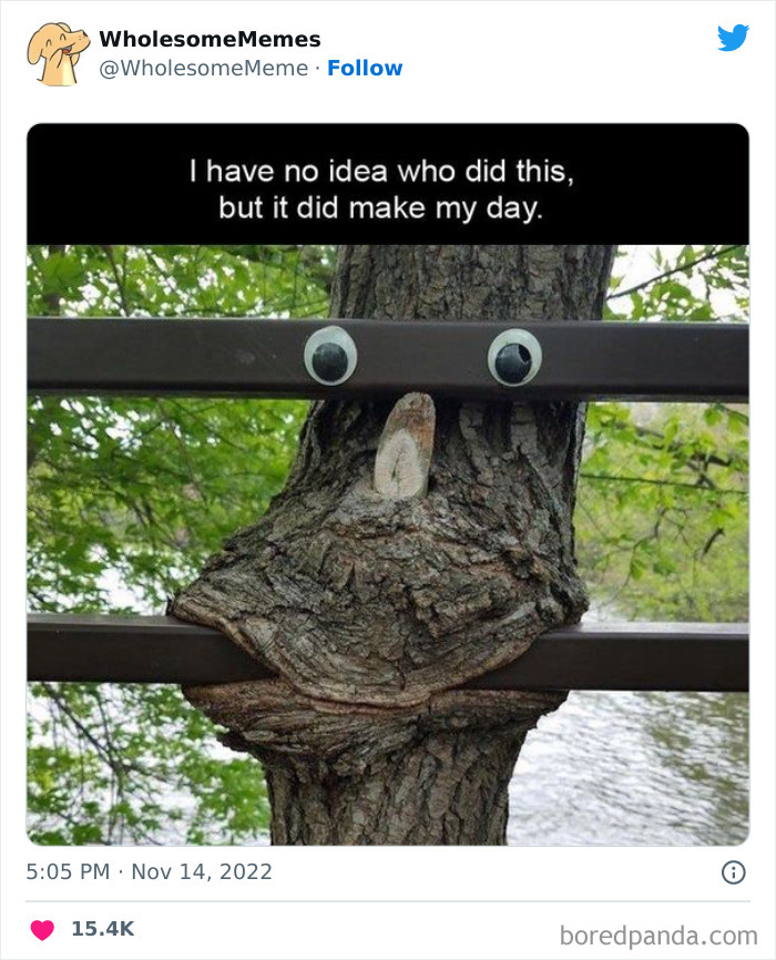 Wholesome-Memes-Pics