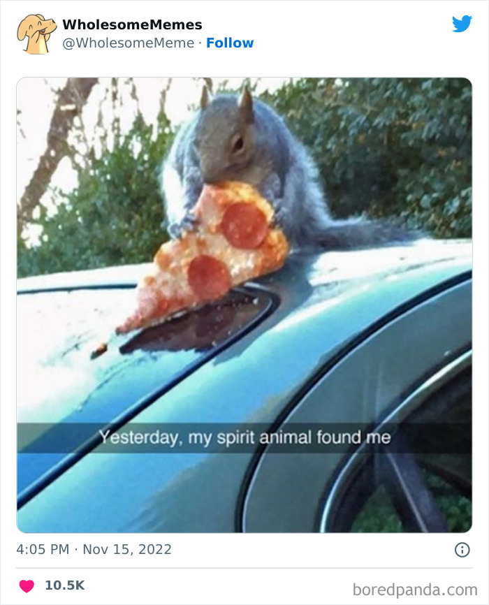 Wholesome-Memes-Pics