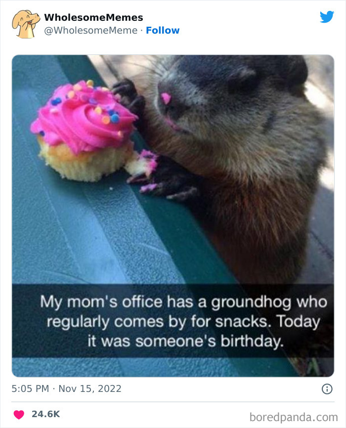 Wholesome-Memes-Pics