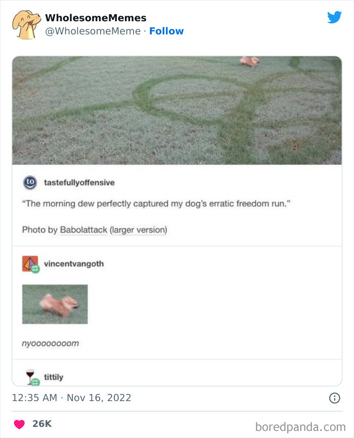 Wholesome-Memes-Pics