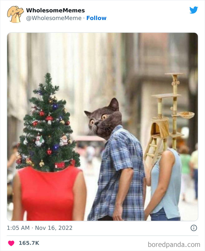 Wholesome-Memes-Pics