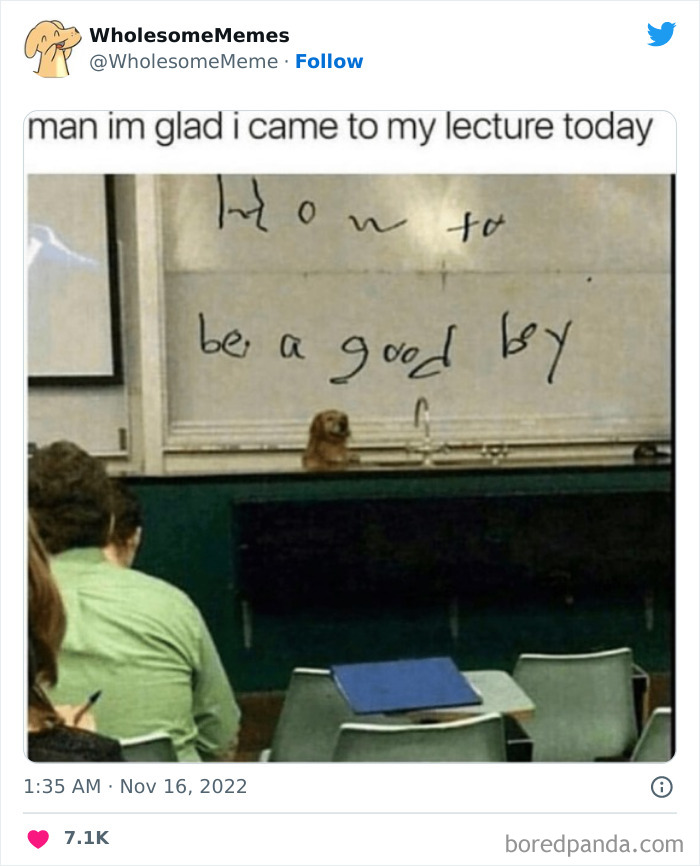 Wholesome-Memes-Pics