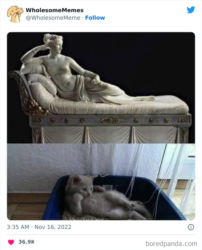 Wholesome-Memes-Pics