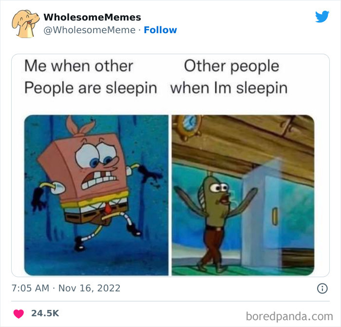 Wholesome-Memes-Pics