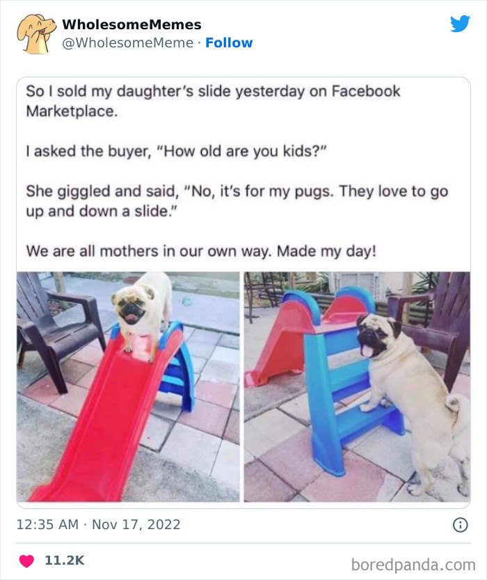 Wholesome-Memes-Pics