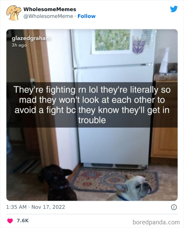 Wholesome-Memes-Pics