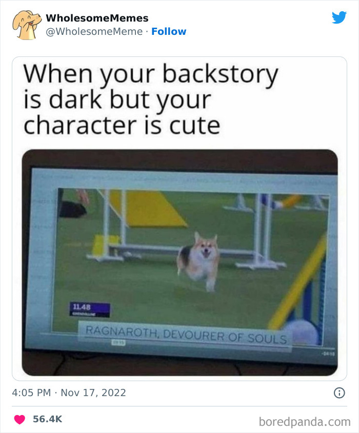 Wholesome-Memes-Pics