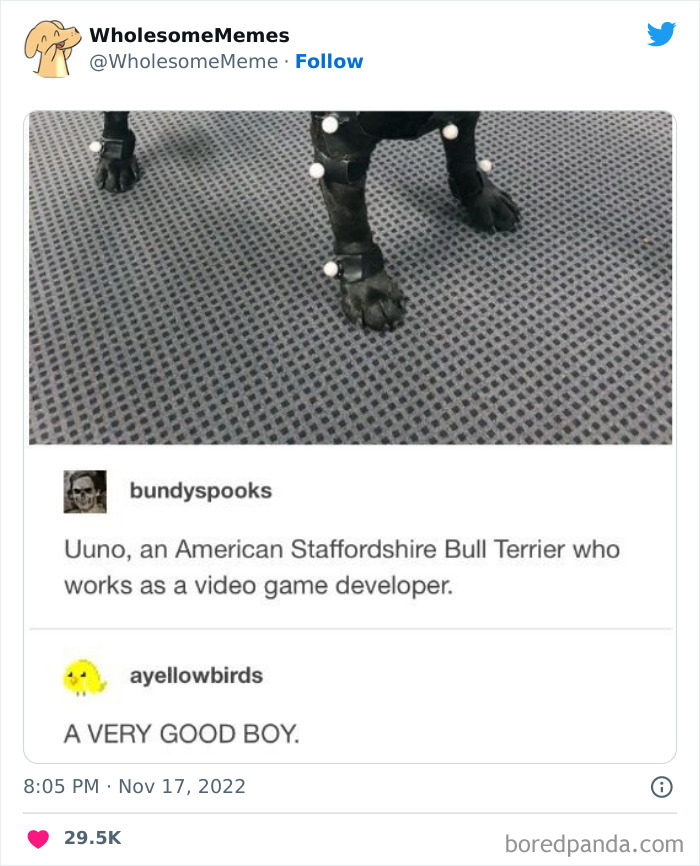 Wholesome-Memes-Pics