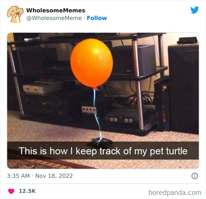 Wholesome-Memes-Pics