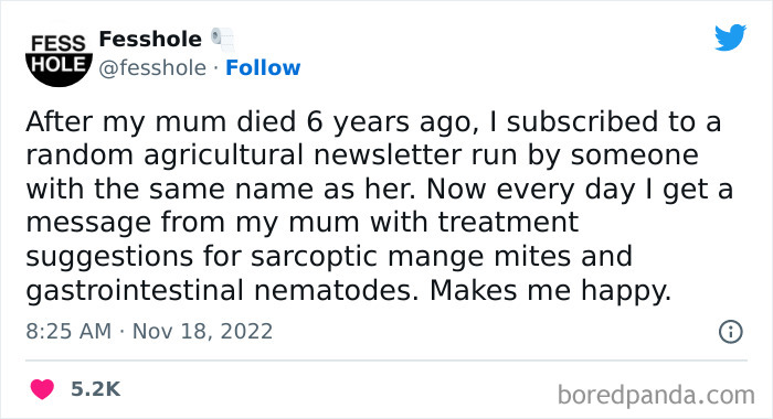 Anonymous-Confessions-Fesshole