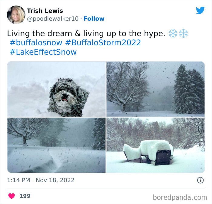 Snow-Buffalo-New-York-2022