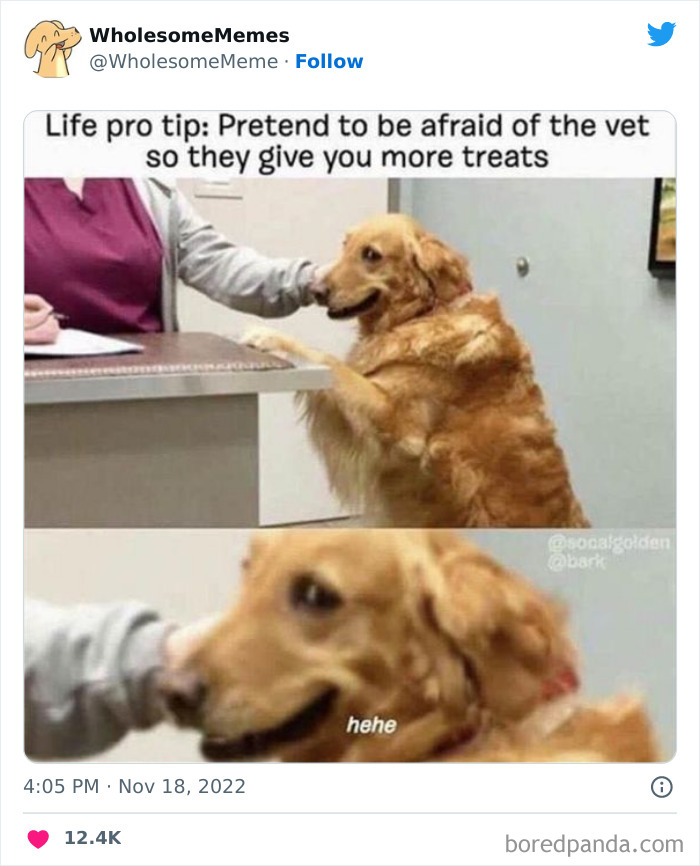 Wholesome-Memes-Pics