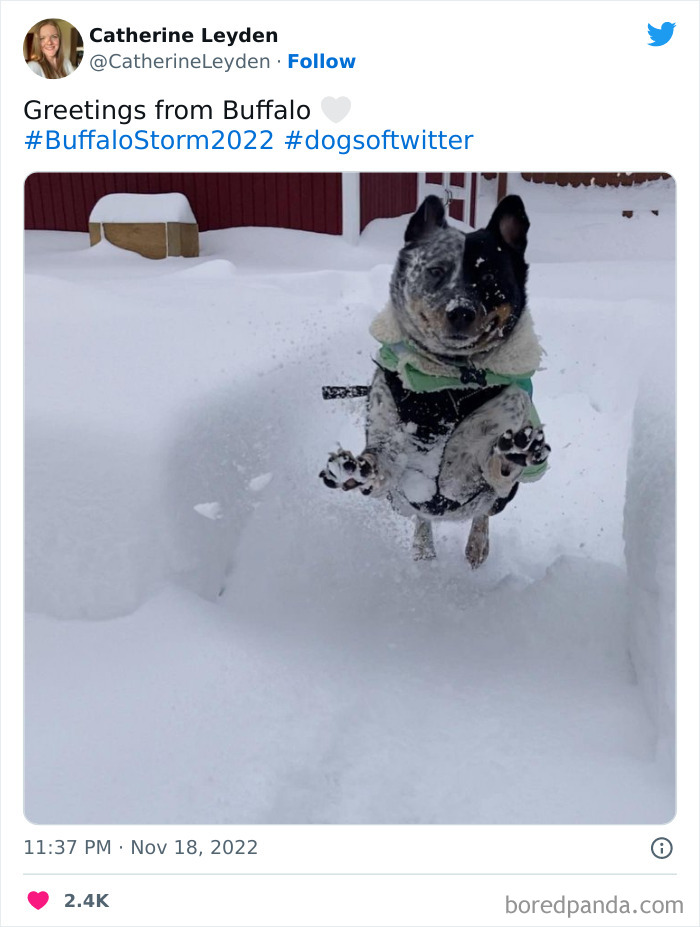 Snow-Buffalo-New-York-2022