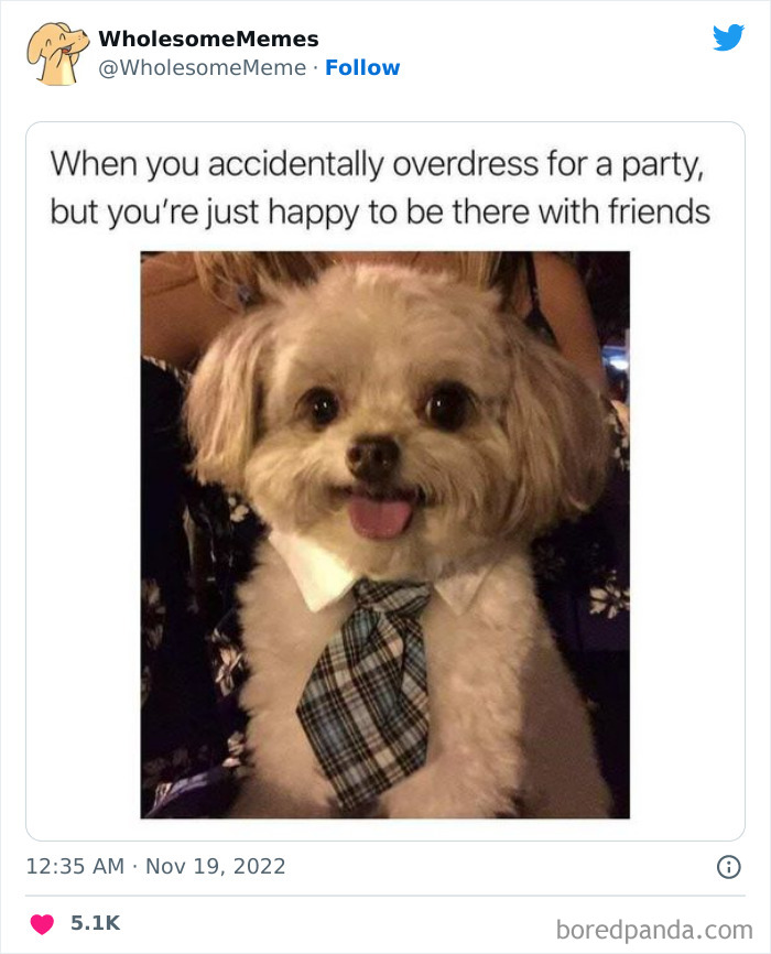 Wholesome-Memes-Pics