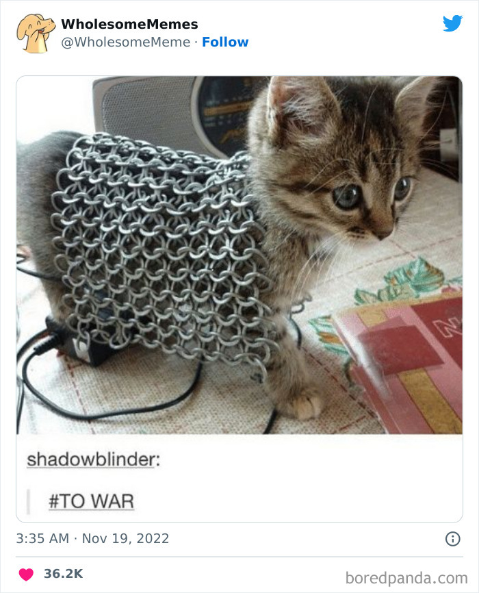 Wholesome-Memes-Pics