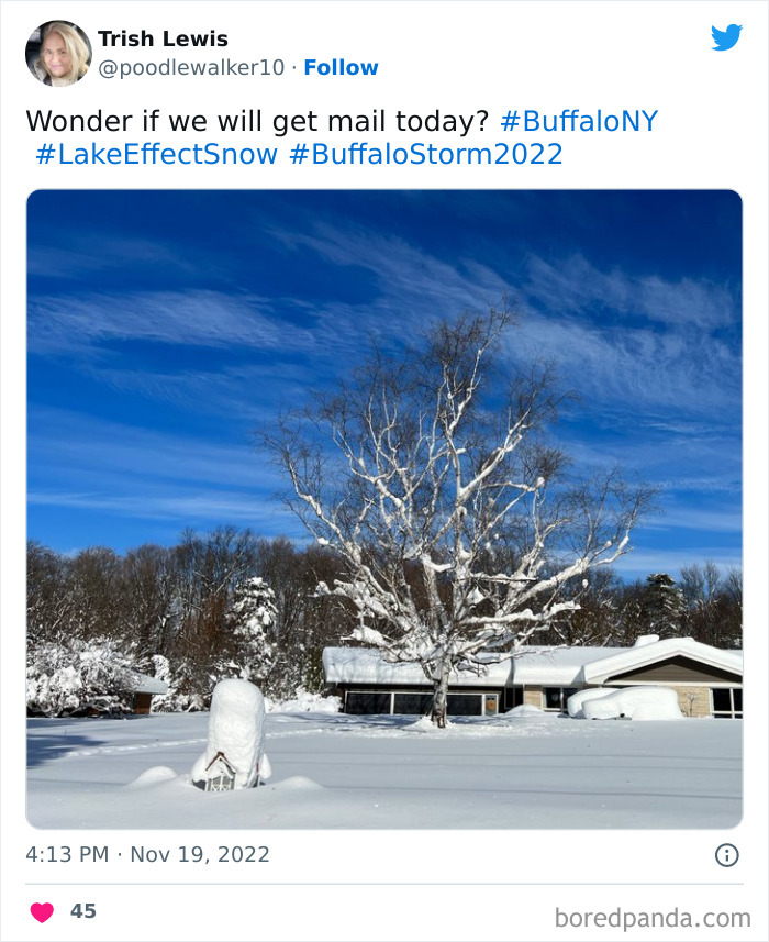 Snow-Buffalo-New-York-2022