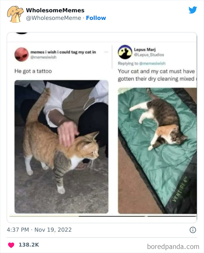 Wholesome-Memes-Pics