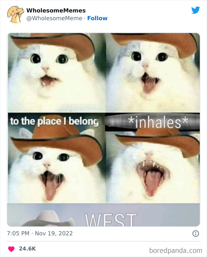 Wholesome-Memes-Pics