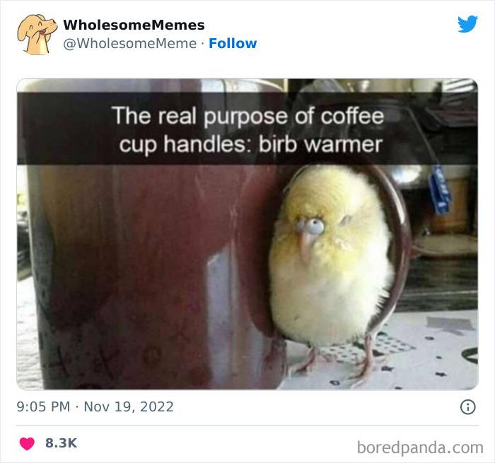 Wholesome-Memes-Pics