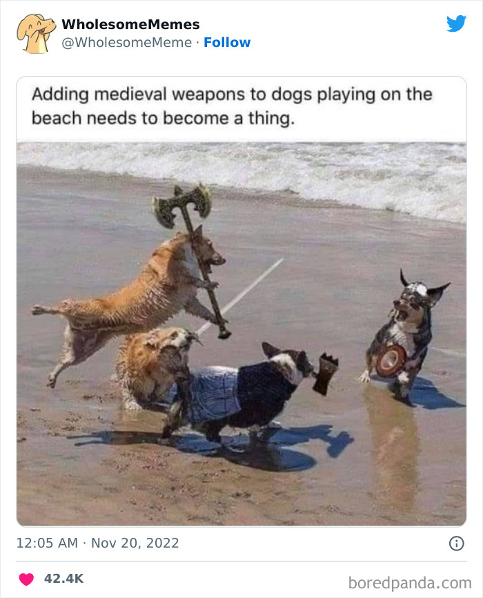 Wholesome-Memes-Pics