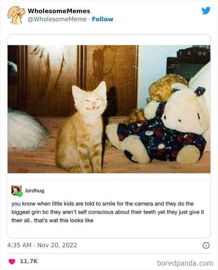 Wholesome-Memes-Pics