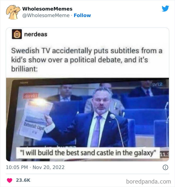 Wholesome-Memes-Pics