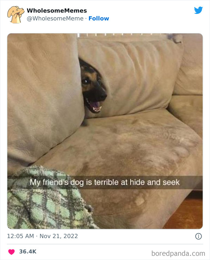 Wholesome-Memes-Pics