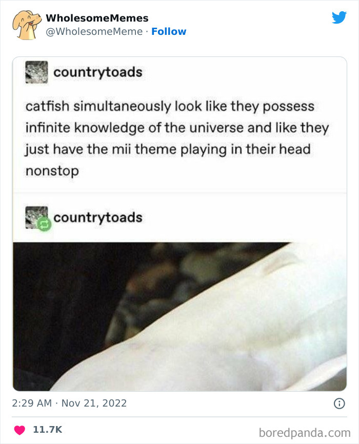 Wholesome-Memes-Pics