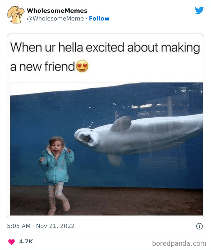 Wholesome-Memes-Pics