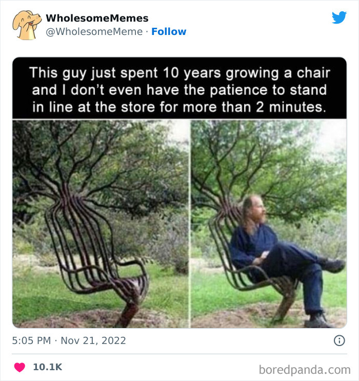 Wholesome-Memes-Pics