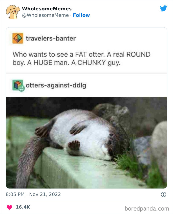 Wholesome-Memes-Pics