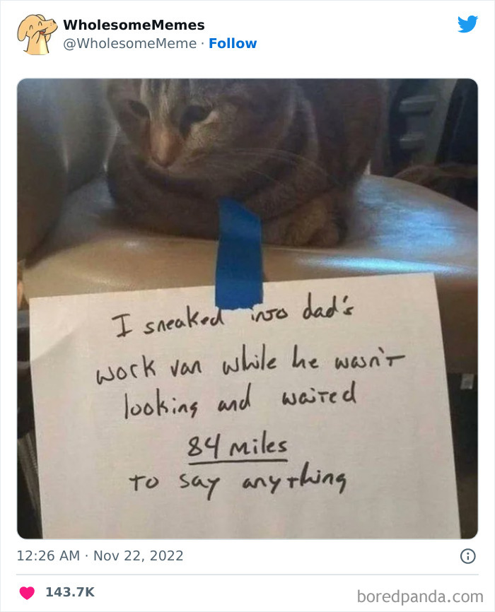 Wholesome-Memes-Pics