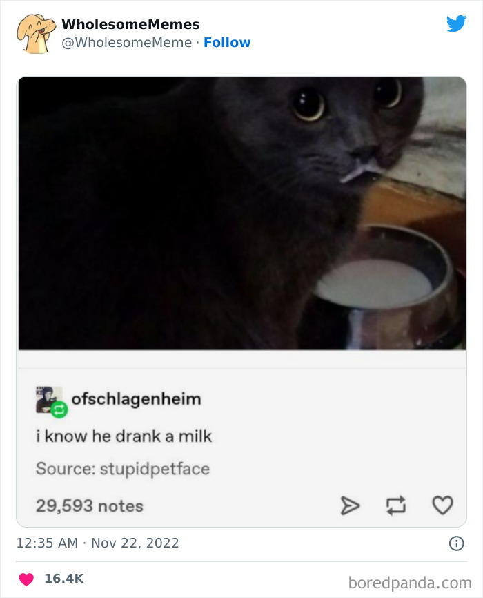 Wholesome-Memes-Pics