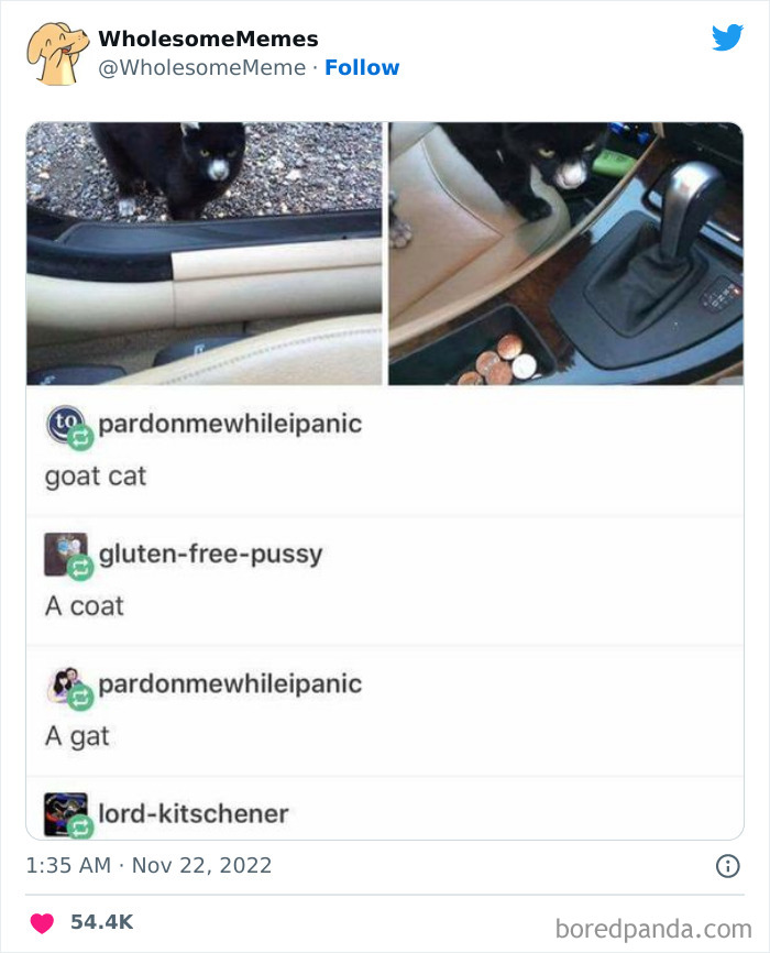 Wholesome-Memes-Pics