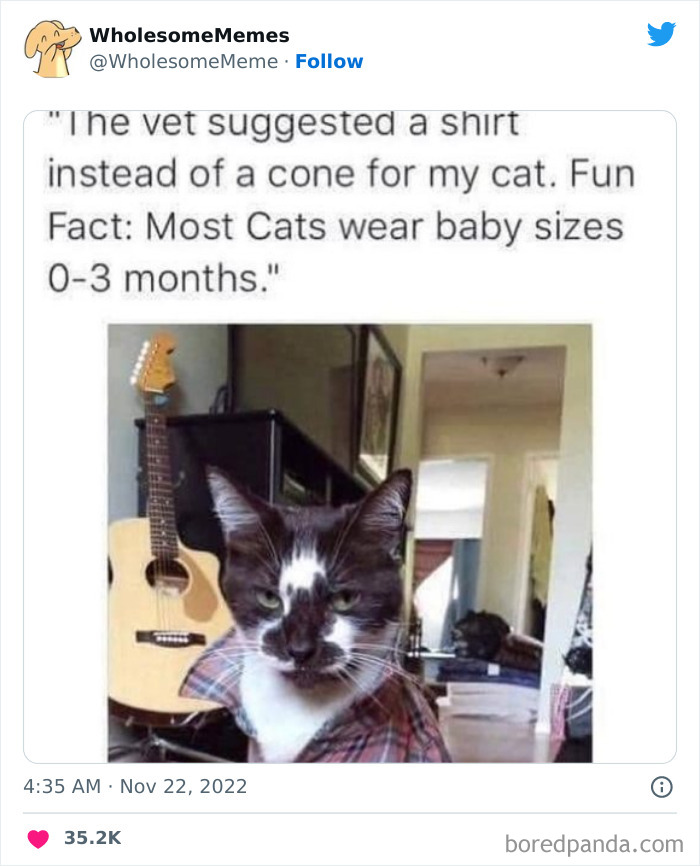 Wholesome-Memes-Pics