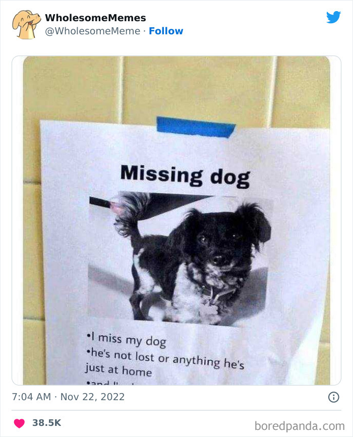 Wholesome-Memes-Pics