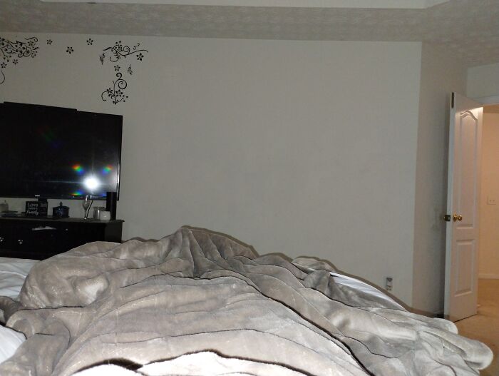 Snuggled In Bed 🤗