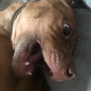 ireneygarnett avatar