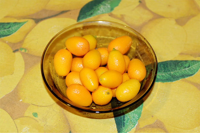 45 Of The Most Amusing Child-Friendly Insults That Members Of This Online Group Couldn't Resist Sharing With Others