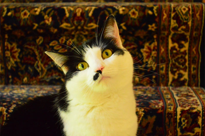 45 Of The Most Amusing Child-Friendly Insults That Members Of This Online Group Couldn't Resist Sharing With Others