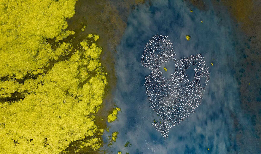 "Heart Of Pink", Jury Selection, Creative Nature Photography