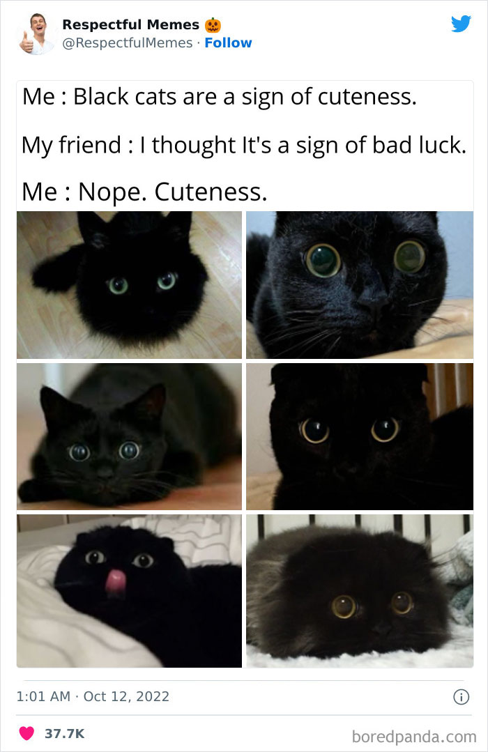 Kind-Respectful-Memes