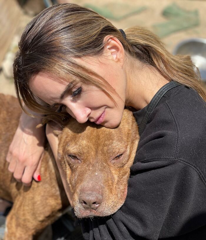 This Pit Bull Was Horrifically Abused For 10 Years Before He Found His Peace When Taken Into The Hands Of Kind-Hearted People This Pit Bull Was Horrifically Abused For 10 Years Before He Found His Peace When Taken Into The Hands Of Kind-Hearted People