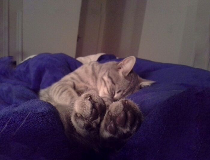 You Sure You Want To Get Up For Work?