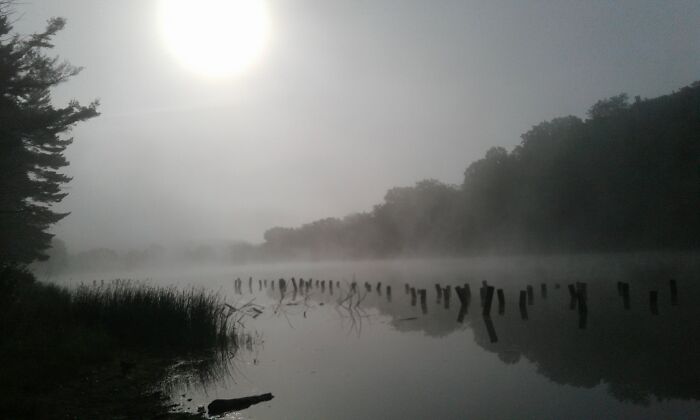 My Favorite Fishing Lake, I Go Here To Fish And Cleanse My Soul. Even If I Only Catch A Few Small Ones, The Time Spent There Is Peaceful And Serene