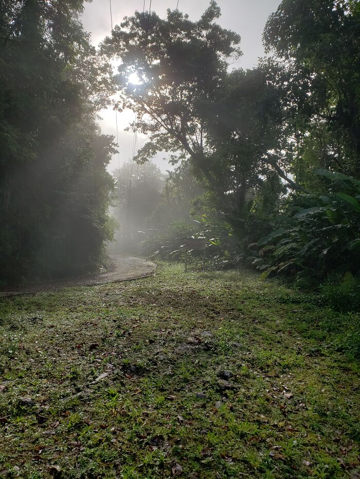 Mount Saint Catherine, Trinidad
