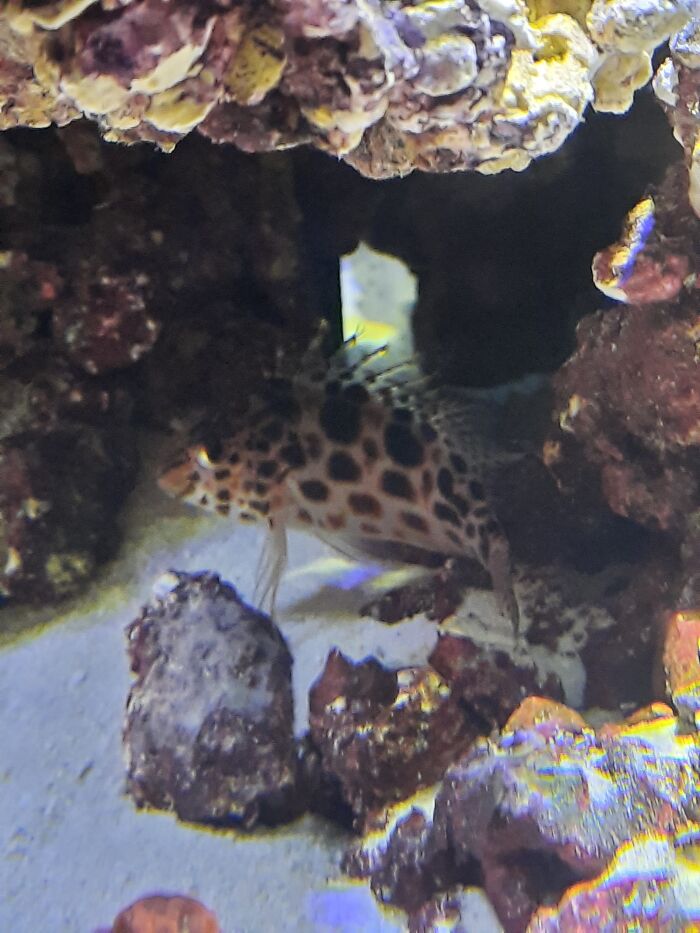 This Is Tony Hawkish. He Has Eliminated All Of His Tank Mates, So He Has The Place To Himself