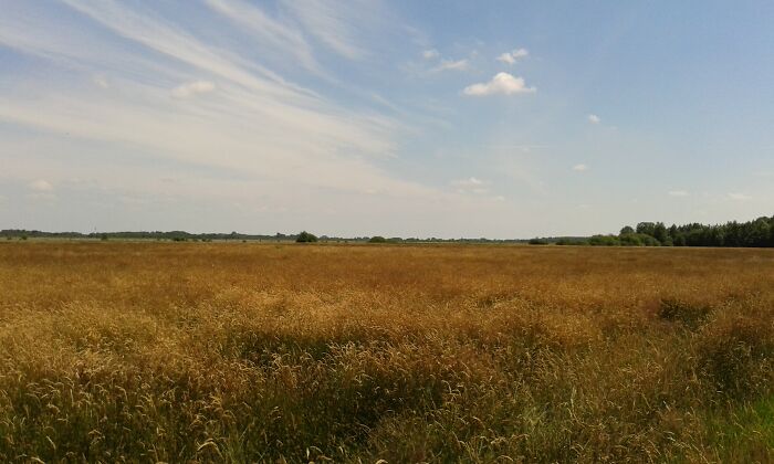 This Moor Near Where I Live. The Stillness There Is Only Disturbed By Wind And The Occasional Bird